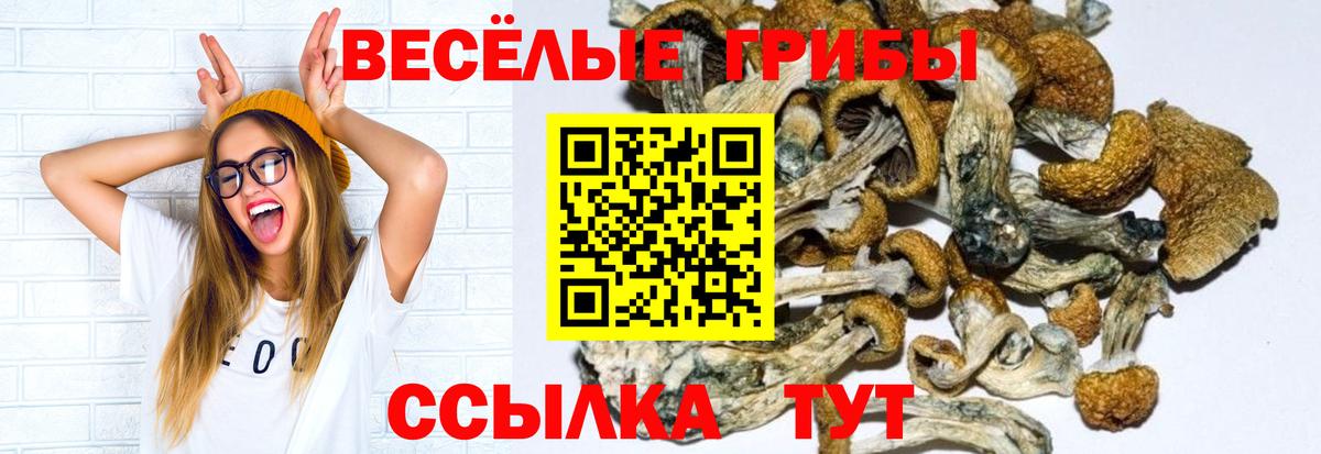 Псилоцибиновые грибы прущие грибы  Вход с VPN  Амурск 